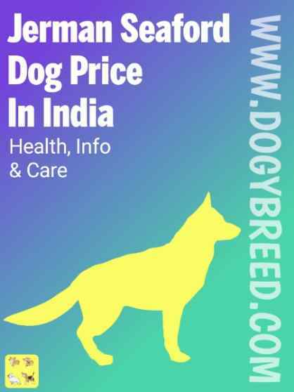 jerman seaford dogs price in india – buying guide, Lifespan