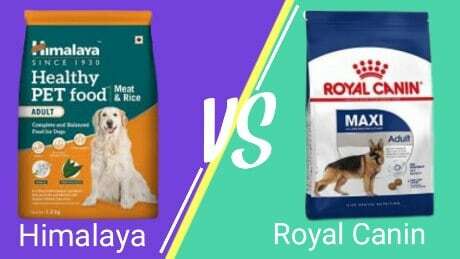 Himalaya Dog food Vs Royal Canin Dog food in 2021 | Honest Review