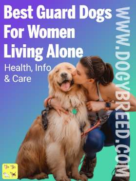 Best Guard Dogs for Women Living Alone