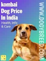 kombai dog Price in India