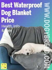 Best Waterproof Dog Blanket | Guide To Buy A Dog Blanket
