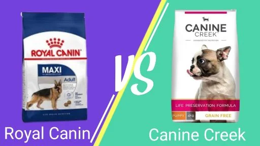 Canine Creek Vs Royal Canin Dog Food In 2022 – Which Is Best | Reviews