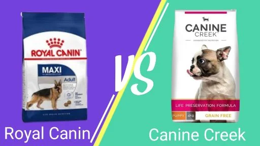 Read more about the article Canine Creek Vs Royal Canin Dog Food In 2023 Which Is Best | Reviews