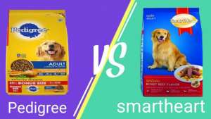 Read more about the article Smartheart vs Pedigree Dog Food In 2023 – Which Is Better | Reviews