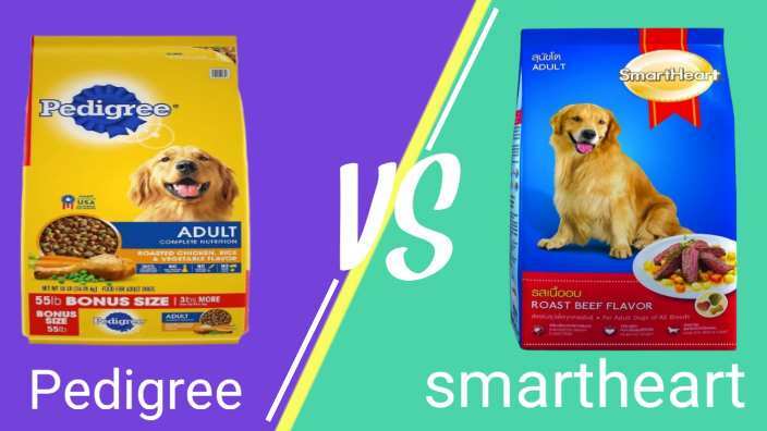 Smartheart vs Pedigree Dog Food In 2022 – Which Is Best | Reviews