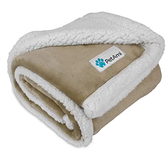 Best Waterproof Dog Blanket Guide To Buy A Dog Blanket