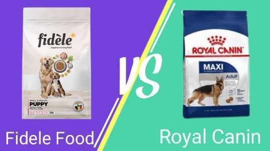 Fidele Dog Food Vs Royal Canin Dog Food In 2022 – Which Is Best | Reviews
