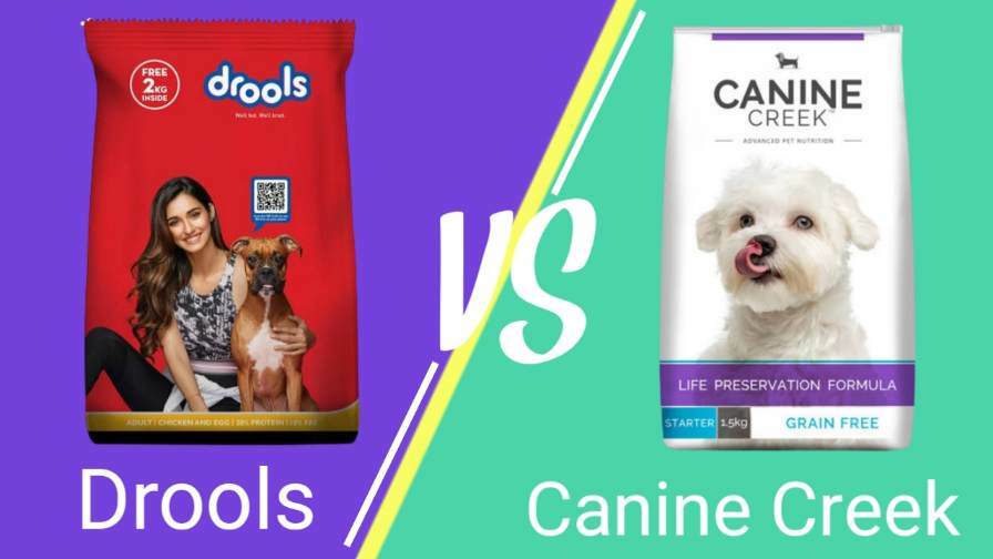 Canine Creek Vs Drools Dog Food | Which Dog Food Is The Best In 2022