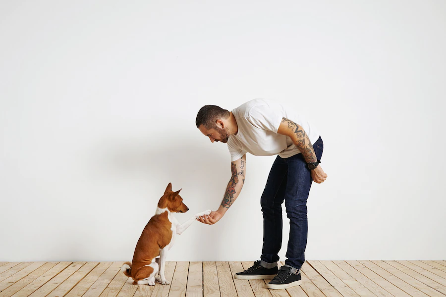 How to be a Good Dog Owner Tips from a Professional Dog Trainer