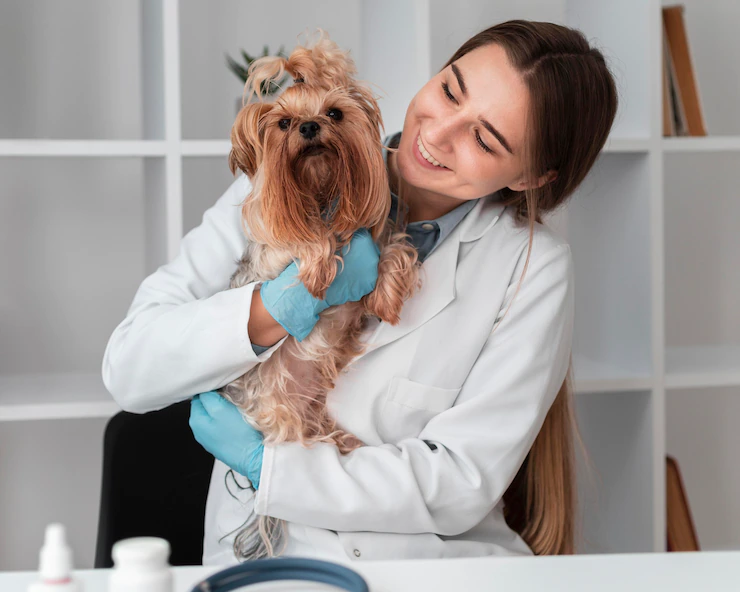 Visit your veterinarian regularly