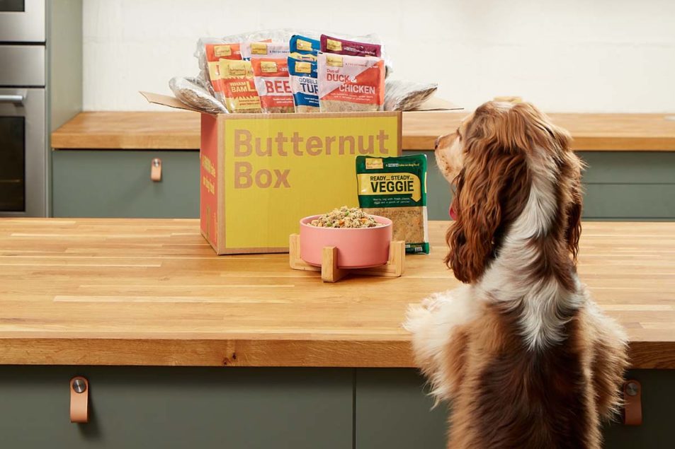 Butternut Box vs Tails: Which Dog Food is the Best for Your Furry Friend