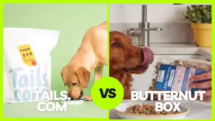 Butternut Box vs Tails: Which Dog Food is the Best for Your Furry Friend
