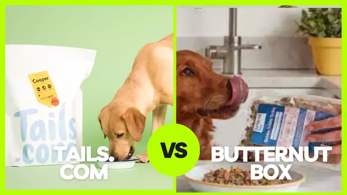 Read more about the article Butternut Box vs Tails: Which Dog Food is the Best for Your Furry Friend