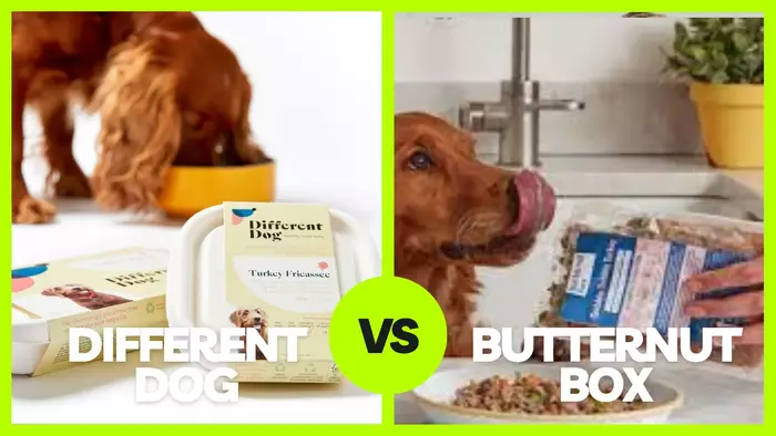 different dog vs butternut box: Which is the Better Choice for your dog