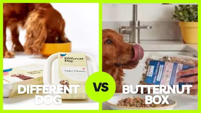 Read more about the article Different Dog vs butternut box: Which is Better for your dog