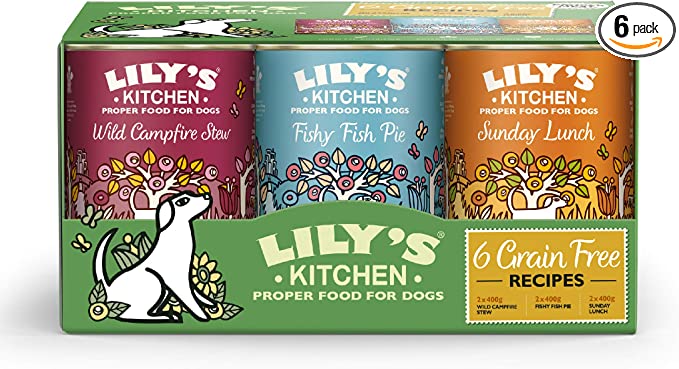 Lily's Kitchen Grain Free Complete Adult Wet Dog Food