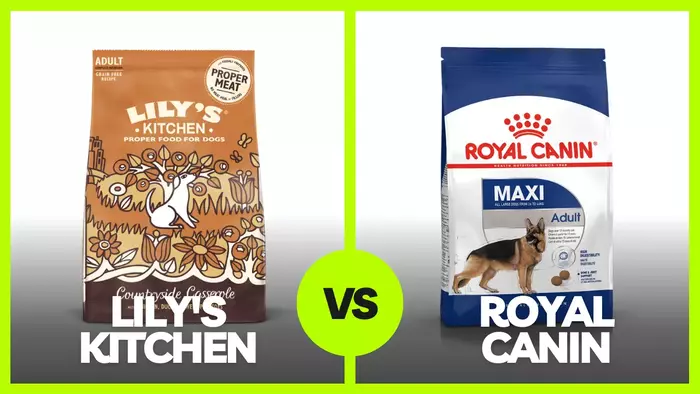 You are currently viewing The Ultimate Guide on Lily’s Kitchen vs Royal Canin