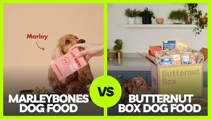 The Ultimate Showdown: Marleybones vs Butternut Box Dog Food