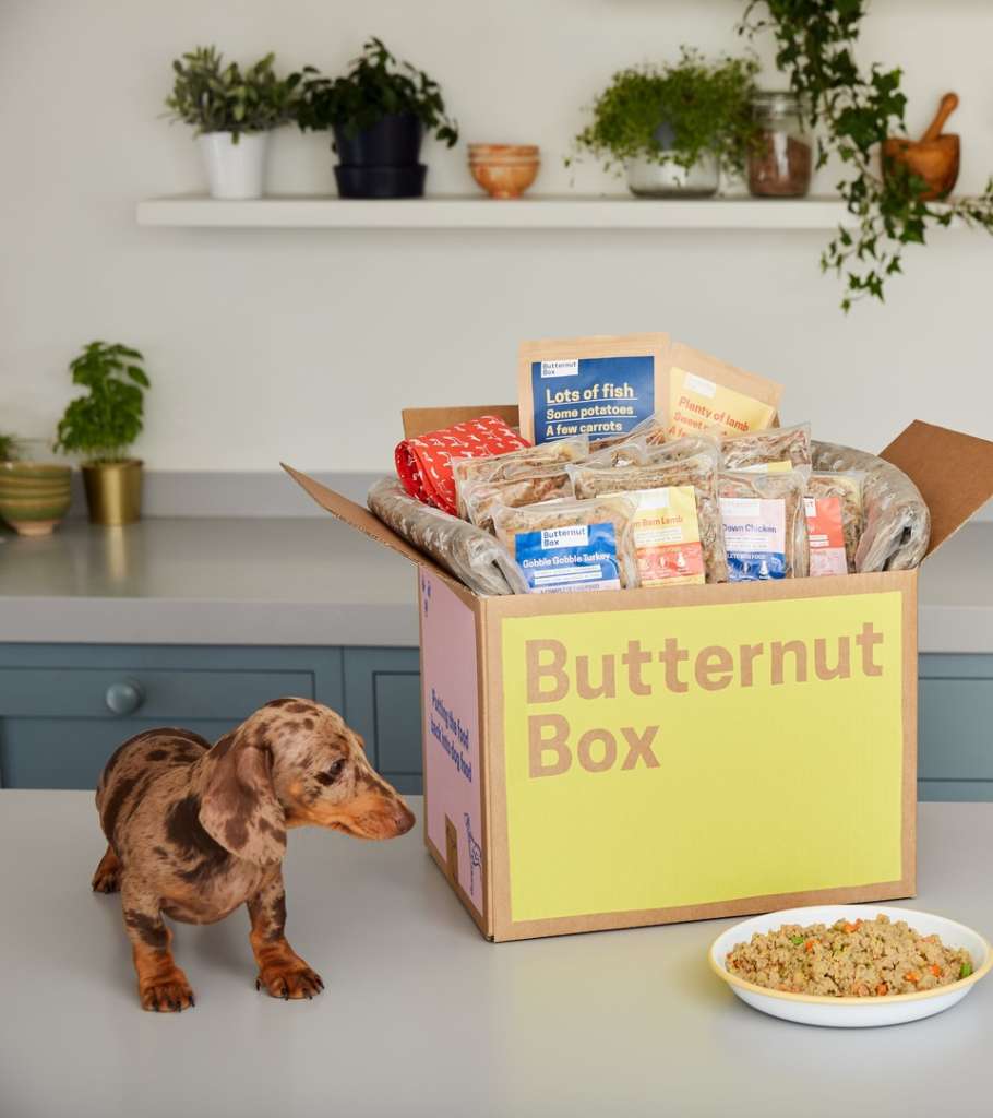 The Ultimate Showdown: Marleybones vs Butternut Box Dog Food