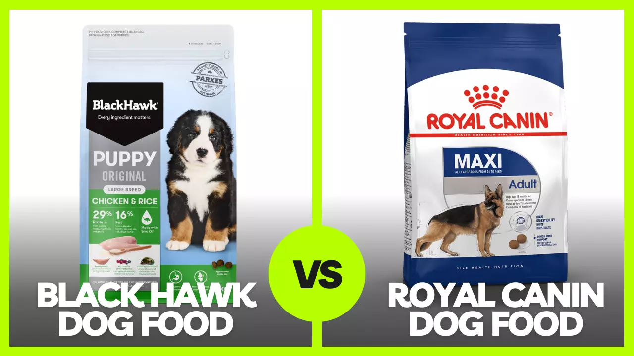 Black Hawk Dog Food vs Royal Canin Dog Food Reviews In 2023