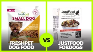 Read more about the article Freshpet Vs Just Food for Dogs Reviews In 2023