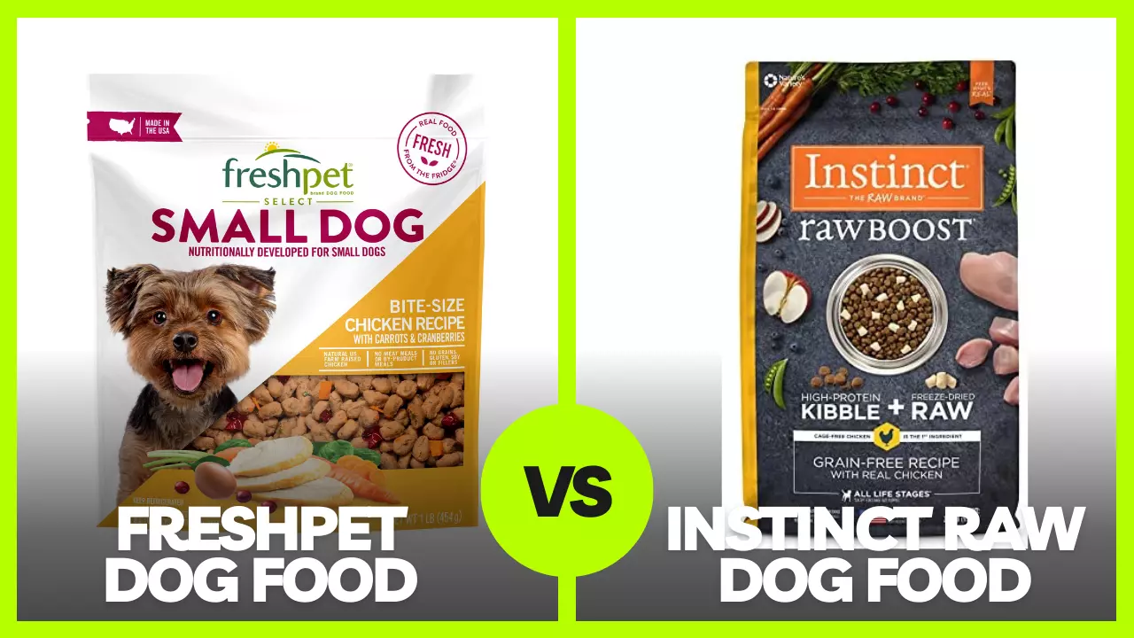 Freshpet vs Instinct Raw Dog Food Which is the Better Choice for Your Pup?