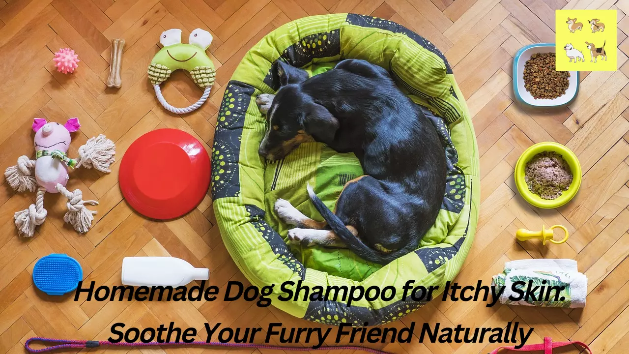 Homemade Dog Shampoo for Itchy Skin Soothe Your Furry Friend Naturally