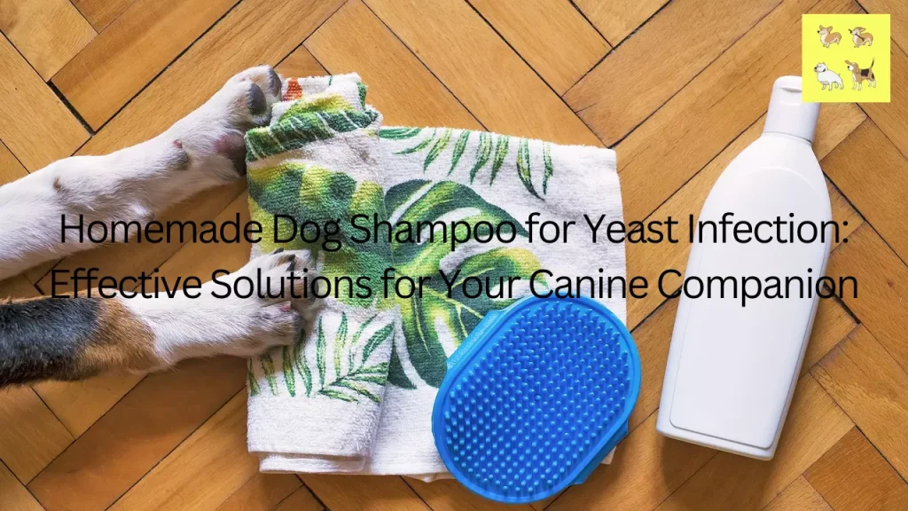 Homemade Dog Shampoo for Yeast Infection: Effective Solutions for Your Canine Companion