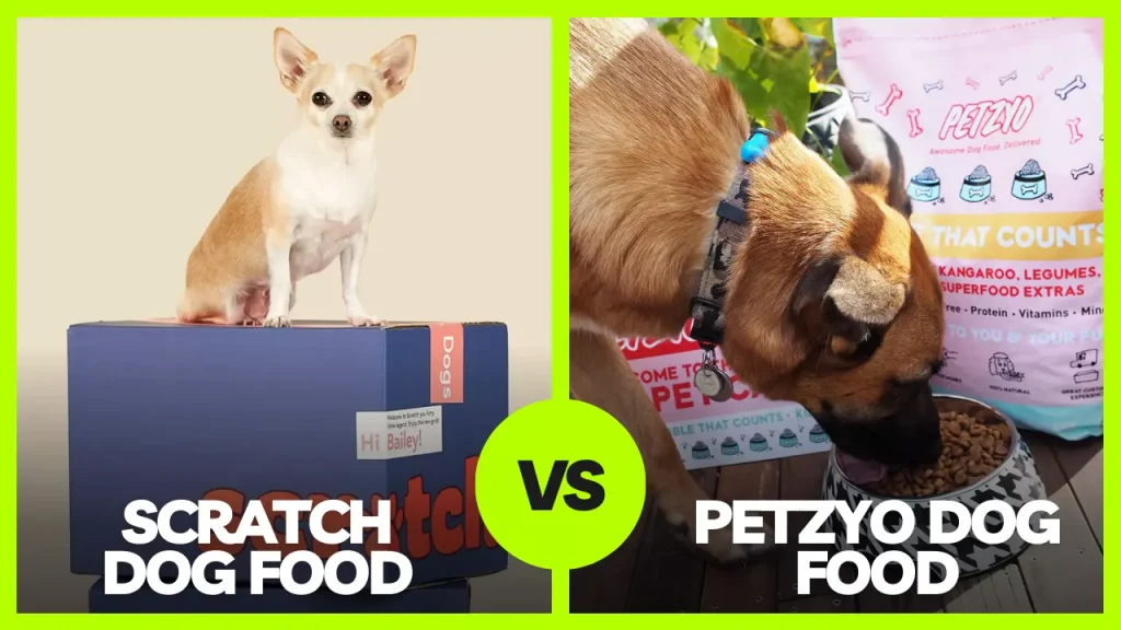 Petzyo Vs Scratch Dog Food Reviews In 2023