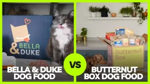 Read more about the article The Ultimate Showdown: Butternut Box Vs Bella and Duke Reviews in 2023