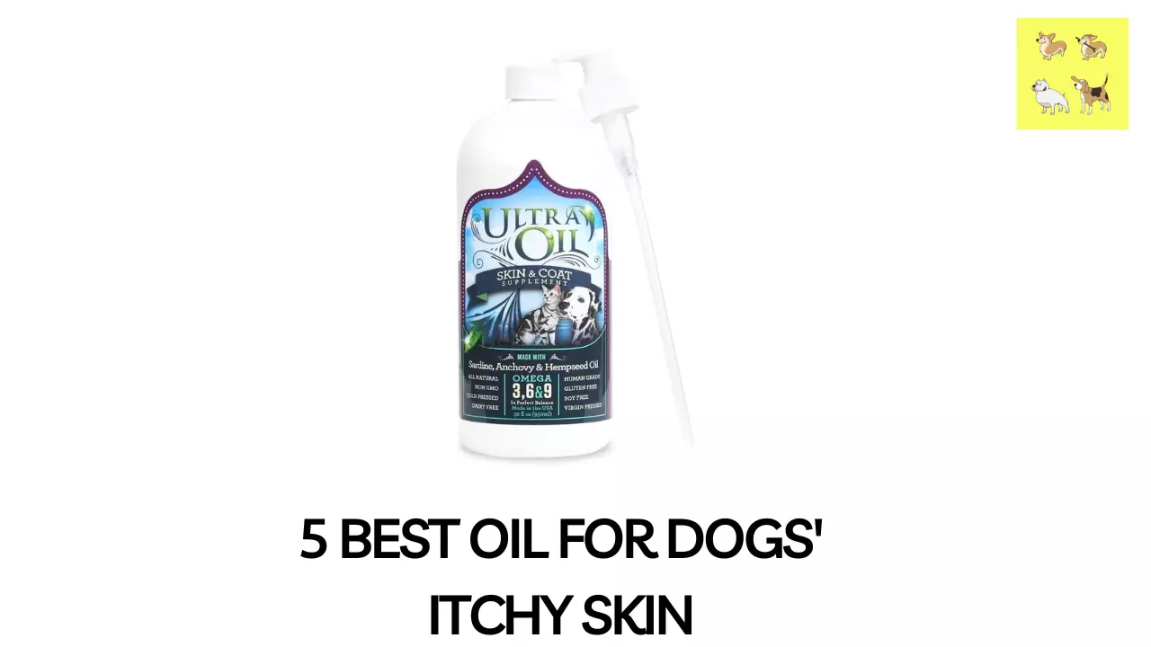 What Is The Best Oil For Dogs 5 Best Oil for Dogs' Itchy Skin: Top Picks and How to Use Them