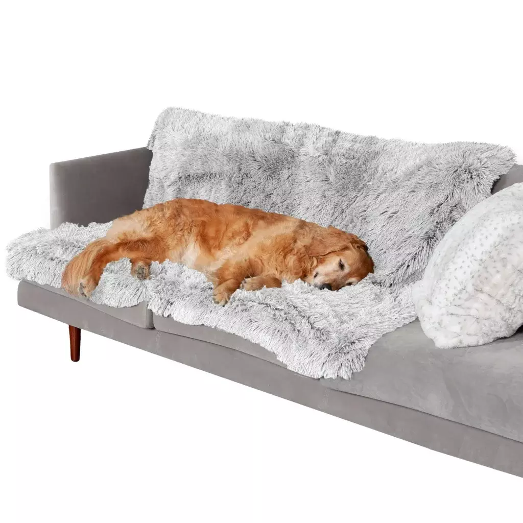 5 Best Waterproof Dog Blanket for Couch In 2023 Dry & Stylish