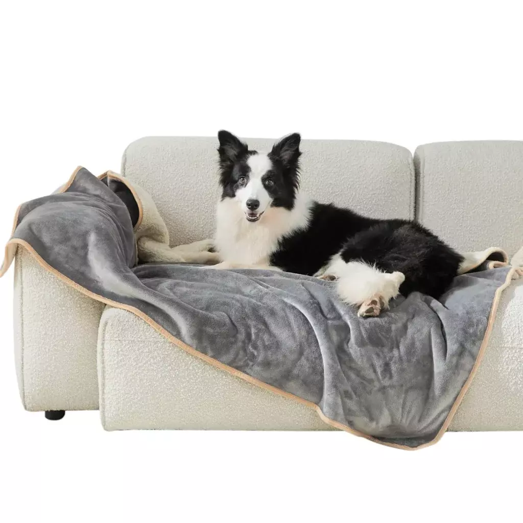 5 Best Waterproof Dog Blanket for Couch In 2023 Dry & Stylish