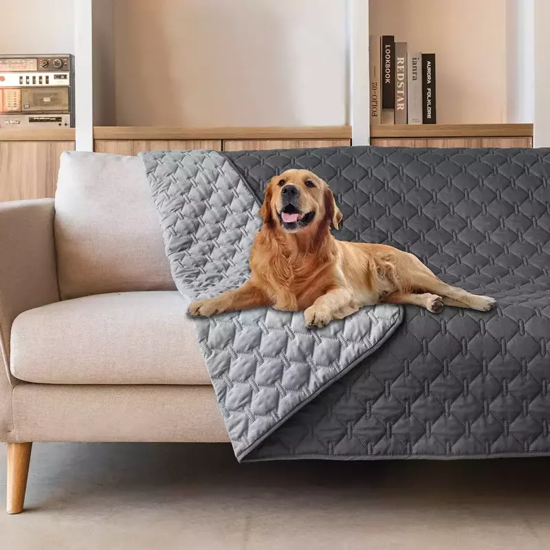 5 Best Waterproof Dog Blanket for Couch In 2023 Dry & Stylish