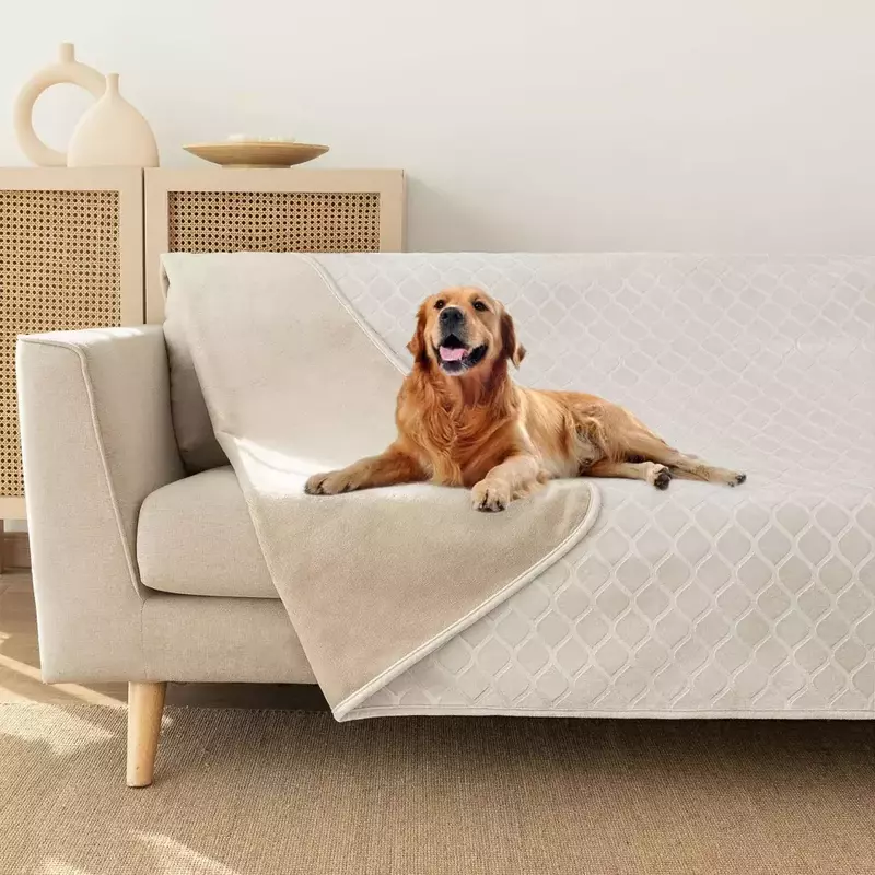 5 Best Waterproof Dog Blanket for Couch In 2023 Dry & Stylish