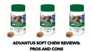 Read more about the article Advantus Soft Chew Reviews in 2023: A Comprehensive Guide