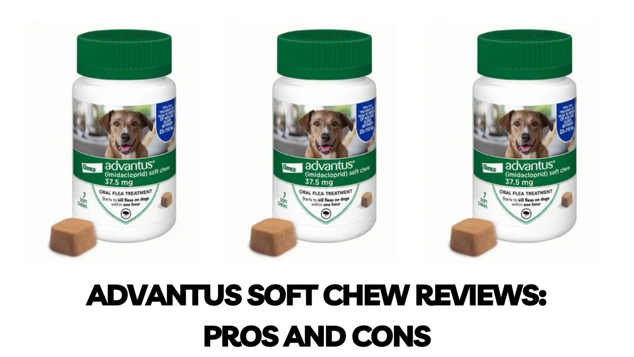 Advantus Soft Chew Reviews A Comprehensive Guide