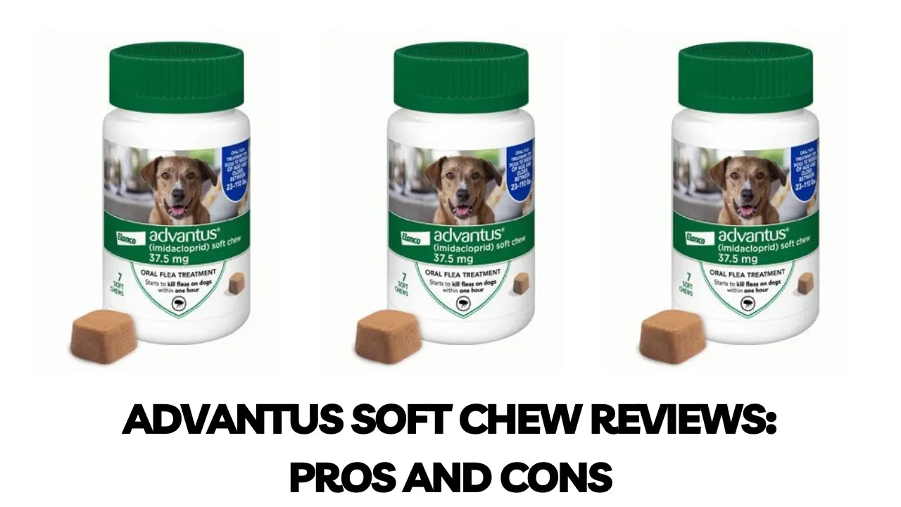 You are currently viewing Advantus Soft Chew Reviews in 2023: A Comprehensive Guide