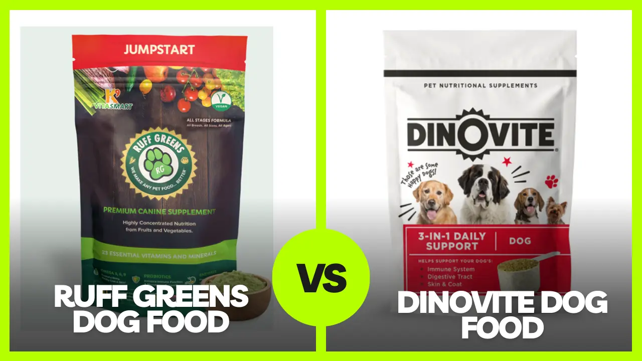 Dinovite vs Ruff Greens Dog Food Review In 2023: Pros & Cons