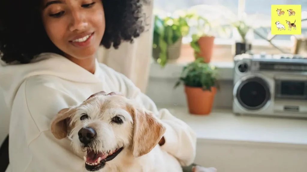 Do Dogs Like When You Scratch Their Sweet Spot