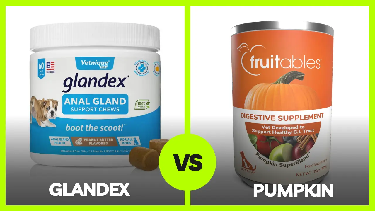 Glandex vs Pumpkin: Treating a Dog's Anal Gland Problem
