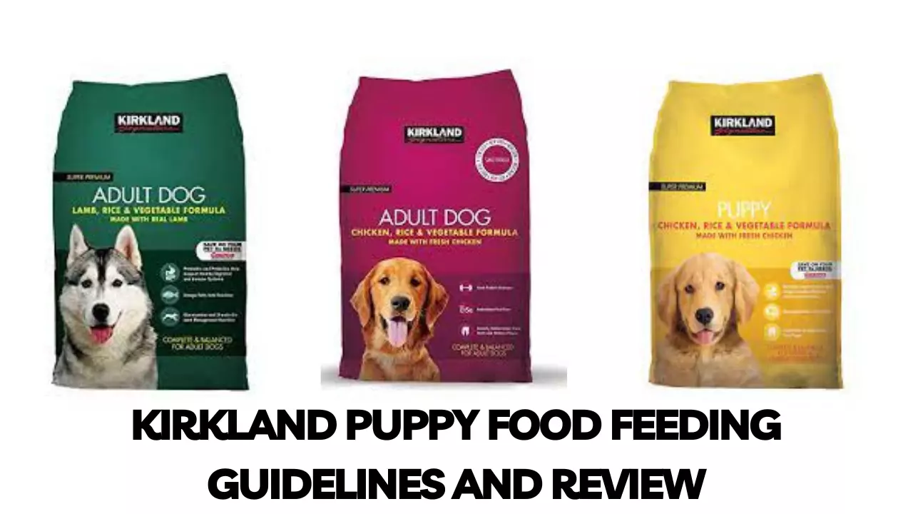 Kirkland Puppy Food Feeding Guidelines and Review