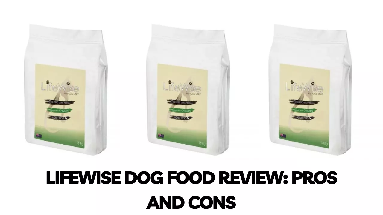 Lifewise Dog Food Review: Is It Worth the Hype?