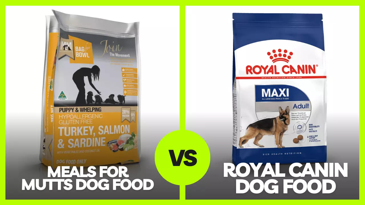 Meals for Mutts vs Royal Canin Dog Food Review In 2023