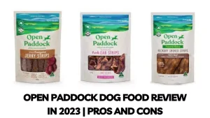 Read more about the article Open Paddock Dog Food Review In 2023 | Pros and Cons