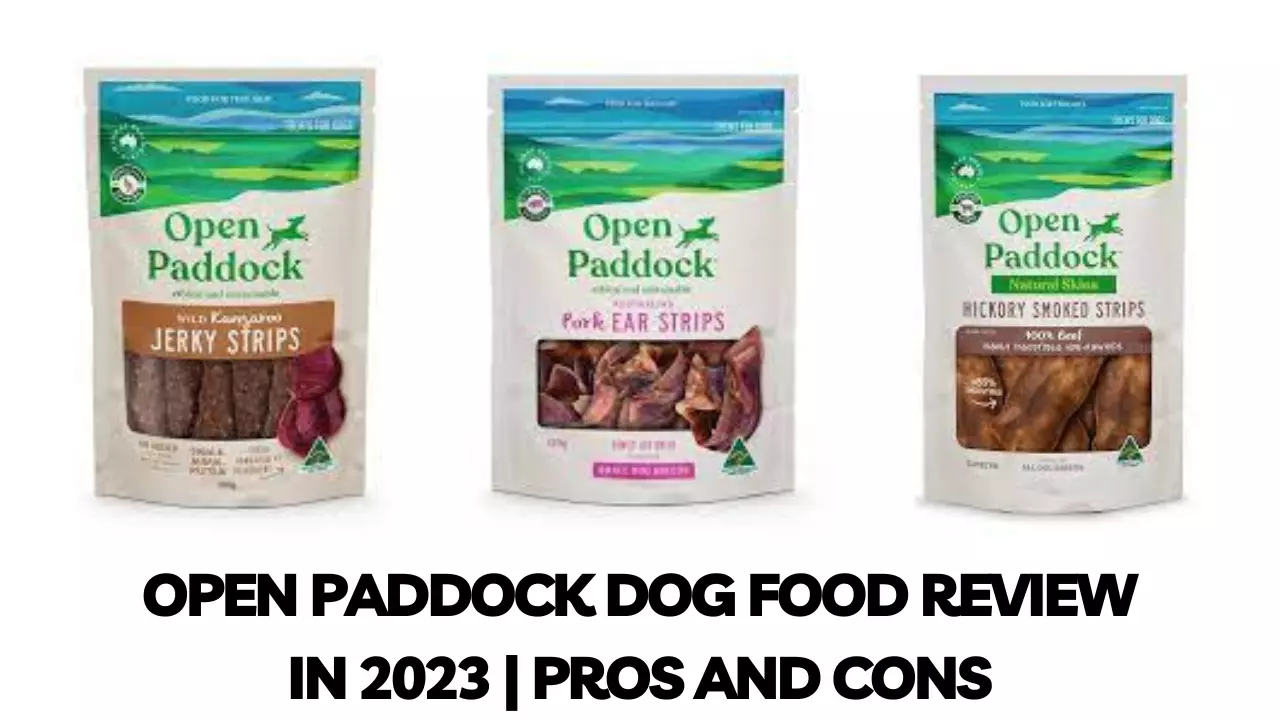 Open Paddock Dog Food Review In 2023 | Pros and Cons