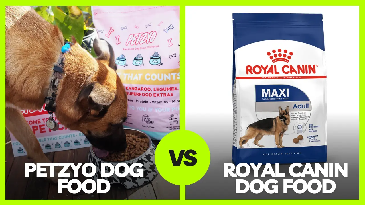 Petzyo vs Royal Canin Dog Food In 2023 : Honest Review
