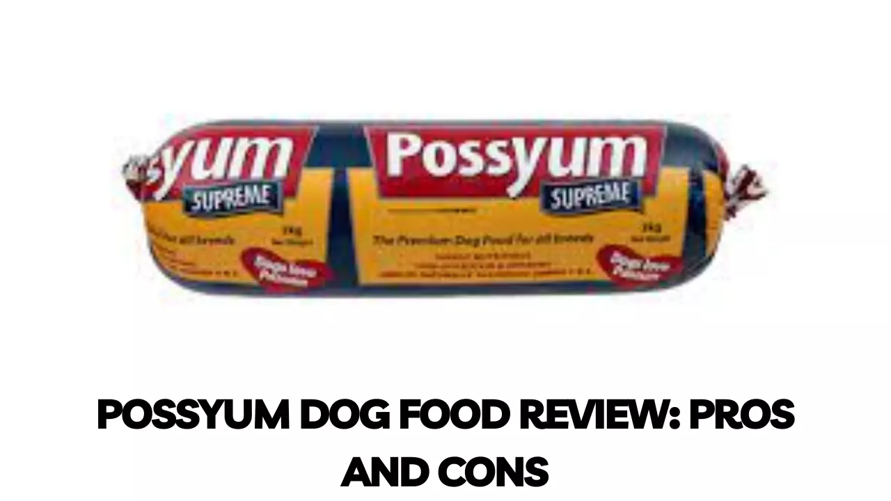 Read more about the article Possyum Dog Food Review In 2023: Is It Worth the Hype?