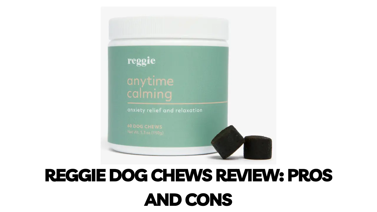Reggie Dog Chews Review