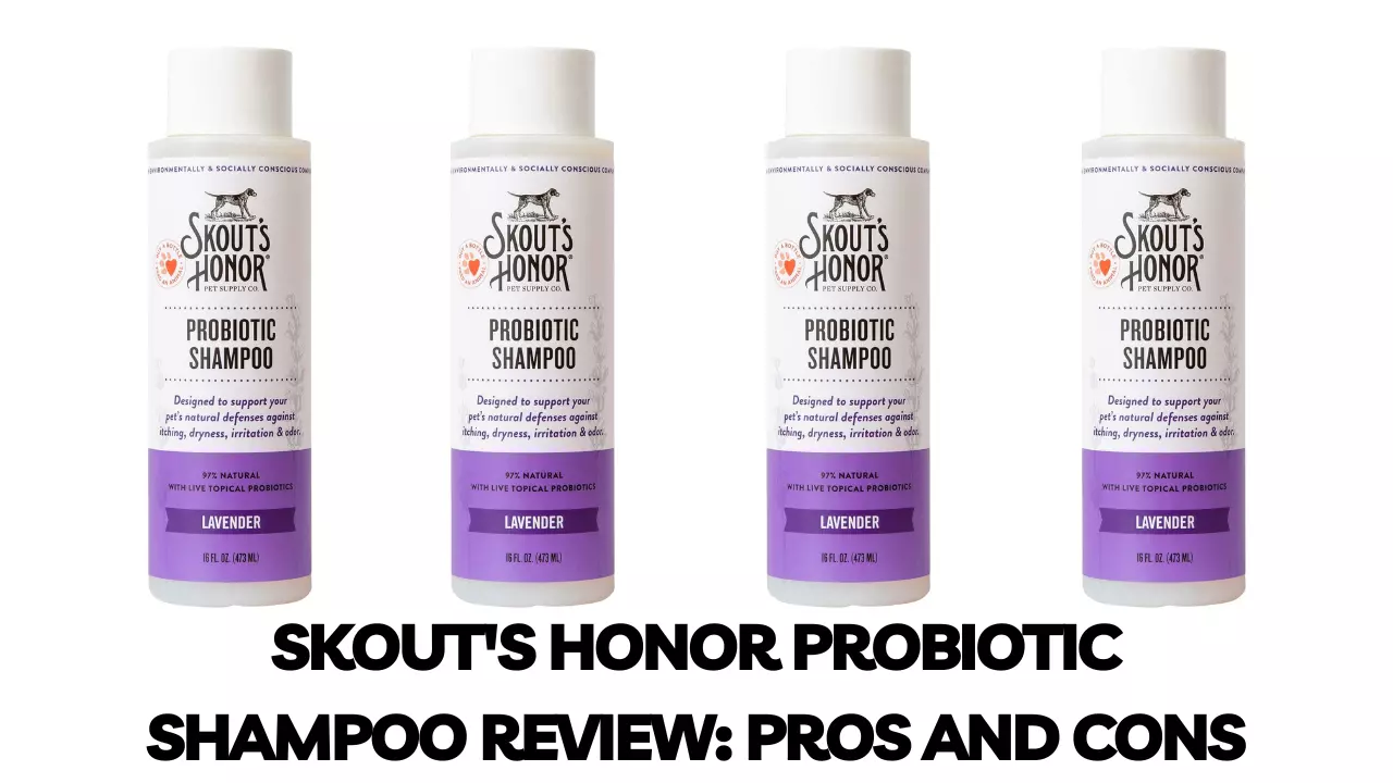 Skout's Honor Probiotic Shampoo Review: Pros & Cons